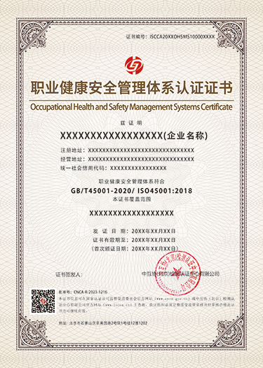 职业健康安全管理体系中文.png